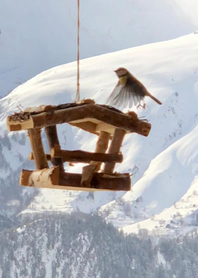 Chalet Lodge Oberig Exclusive Villard-Reculas Zewnętrze zdjęcie