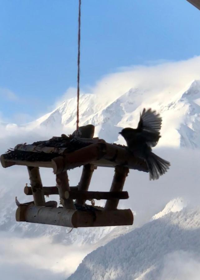 Chalet Lodge Oberig Exclusive Villard-Reculas Zewnętrze zdjęcie